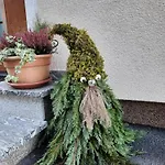 Appartement Haus Traninger Flachau