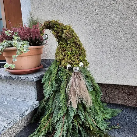 Apartamento Haus Traninger Flachau