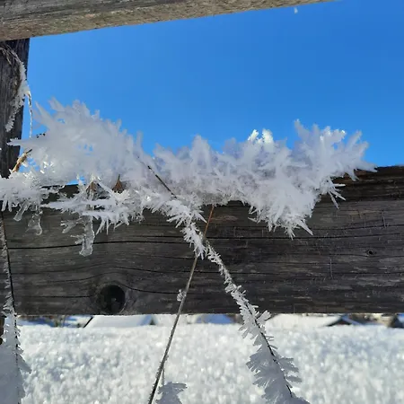 Appartement Haus Traninger