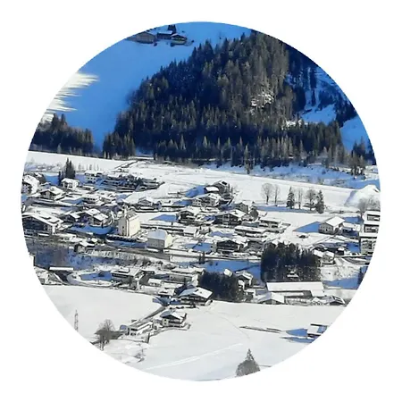 Appartement Haus Traninger *