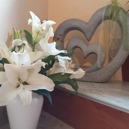 Haus Traninger Flachau