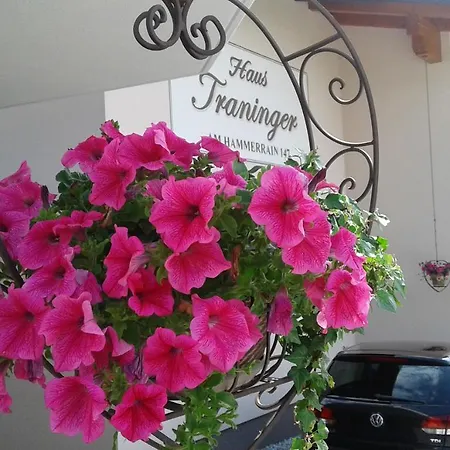 Apartamento Haus Traninger Flachau