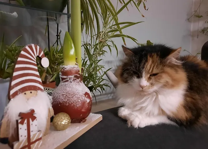 Lägenhet Haus Traninger